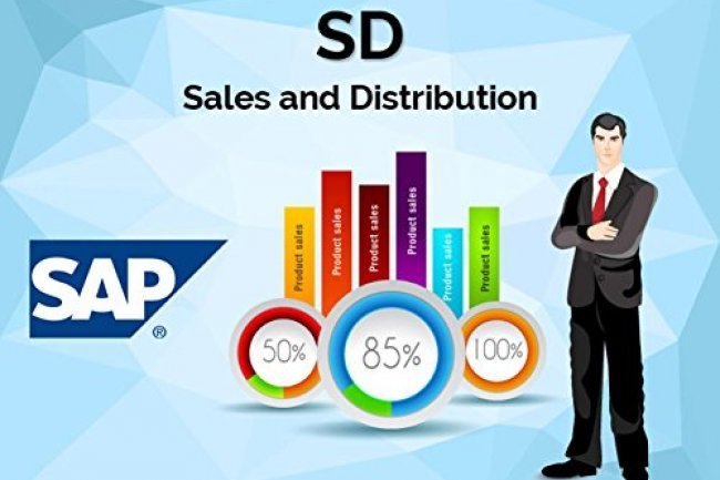 SAP SD Course | SAP SD Training Institute in Lucknow