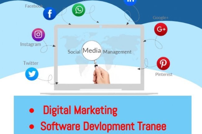 Top 5 Best Courses After BCA:  Begin your Career with a Trending Courses